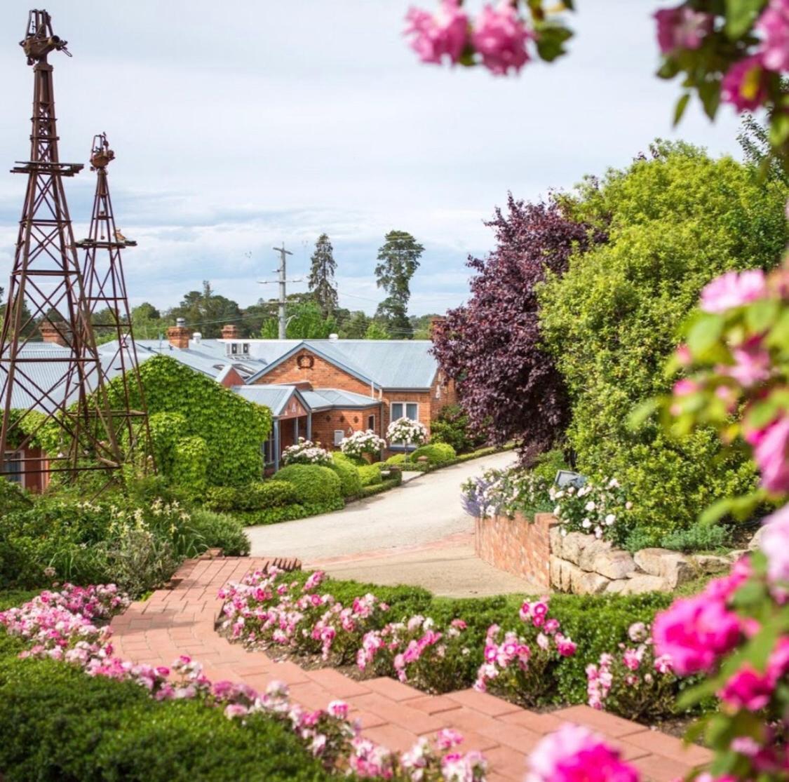 Twelve On Albert Beechworth Zewnętrze zdjęcie
